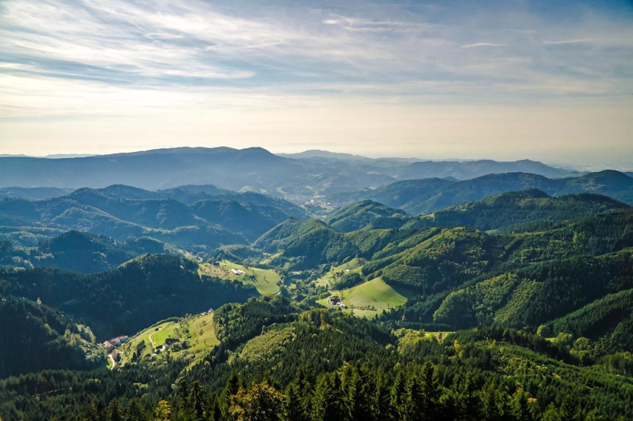 Ferienwohnung 1315 Schluchsee Exteriér fotografie